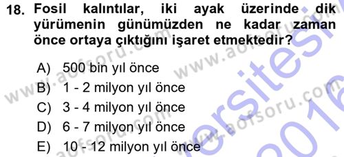 Sosyal Antropoloji Dersi 2015 - 2016 Yılı (Vize) Ara Sınav Soruları 18. Soru