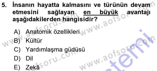 Sosyal Antropoloji Dersi Ara Sınavı Deneme Sınav Soruları 5. Soru