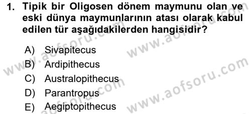 Sosyal Antropoloji Dersi 2015 - 2016 Yılı (Final) Dönem Sonu Sınav Soruları 1. Soru