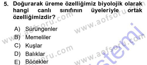 Sosyal Antropoloji Dersi 2015 - 2016 Yılı (Final) Dönem Sonu Sınav Soruları 5. Soru