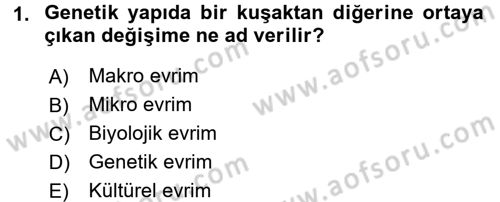 Sosyal Antropoloji Dersi 2016 - 2017 Yılı 3 Ders Sınav Soruları 1. Soru