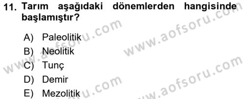 Sosyal Antropoloji Dersi 2016 - 2017 Yılı 3 Ders Sınav Soruları 11. Soru