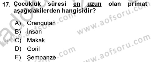 Sosyal Antropoloji Dersi 2016 - 2017 Yılı 3 Ders Sınav Soruları 17. Soru
