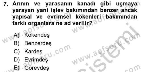 Sosyal Antropoloji Dersi 2016 - 2017 Yılı 3 Ders Sınav Soruları 7. Soru