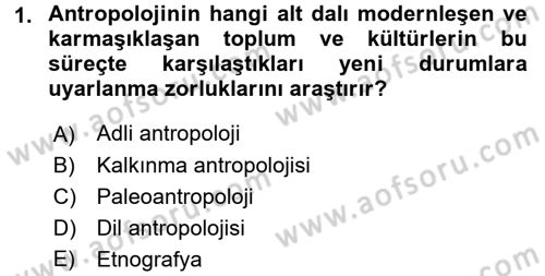 Sosyal Antropoloji Dersi Ara Sınavı Deneme Sınav Soruları 1. Soru
