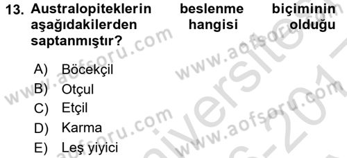 Sosyal Antropoloji Dersi Ara Sınavı Deneme Sınav Soruları 13. Soru
