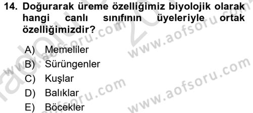 Sosyal Antropoloji Dersi Ara Sınavı Deneme Sınav Soruları 14. Soru