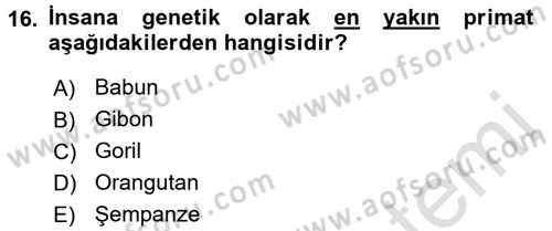 Sosyal Antropoloji Dersi 2016 - 2017 Yılı (Vize) Ara Sınav Soruları 16. Soru