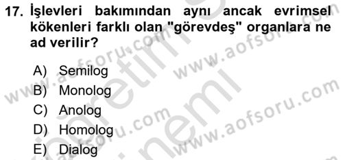 Sosyal Antropoloji Dersi 2016 - 2017 Yılı (Vize) Ara Sınav Soruları 17. Soru