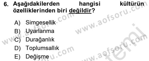 Sosyal Antropoloji Dersi Ara Sınavı Deneme Sınav Soruları 6. Soru