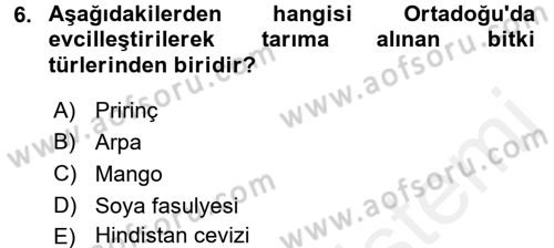 Sosyal Antropoloji Dersi 2016 - 2017 Yılı (Final) Dönem Sonu Sınav Soruları 6. Soru