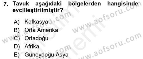 Sosyal Antropoloji Dersi 2016 - 2017 Yılı (Final) Dönem Sonu Sınav Soruları 7. Soru