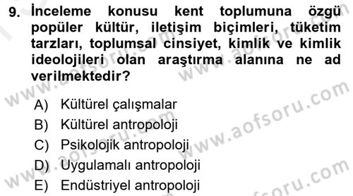 Sosyal Antropoloji Dersi 2016 - 2017 Yılı (Final) Dönem Sonu Sınav Soruları 9. Soru