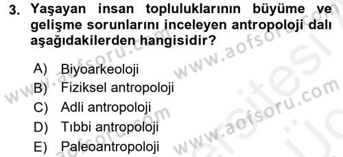 Sosyal Antropoloji Dersi 2017 - 2018 Yılı 3 Ders Sınav Soruları 3. Soru