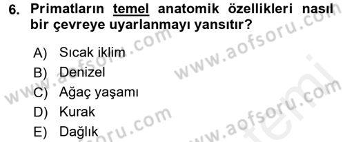 Sosyal Antropoloji Dersi 2017 - 2018 Yılı 3 Ders Sınav Soruları 6. Soru