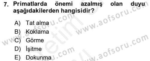 Sosyal Antropoloji Dersi 2017 - 2018 Yılı 3 Ders Sınav Soruları 7. Soru