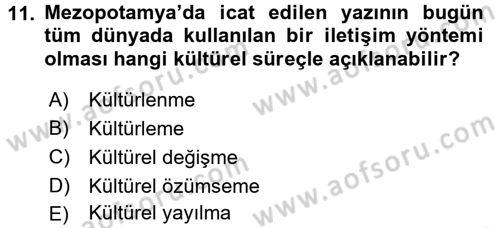 Sosyal Antropoloji Dersi Ara Sınavı Deneme Sınav Soruları 11. Soru