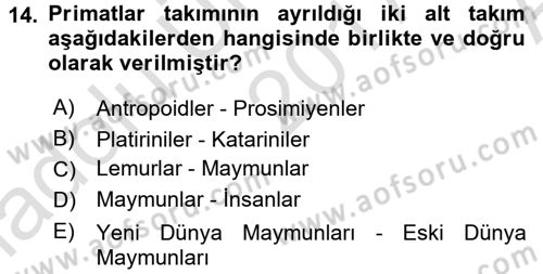 Sosyal Antropoloji Dersi Ara Sınavı Deneme Sınav Soruları 14. Soru