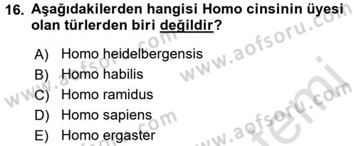 Sosyal Antropoloji Dersi 2017 - 2018 Yılı (Vize) Ara Sınav Soruları 16. Soru
