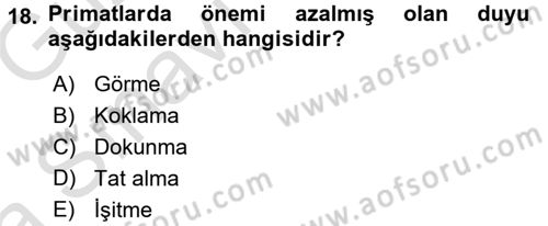 Sosyal Antropoloji Dersi Ara Sınavı Deneme Sınav Soruları 18. Soru