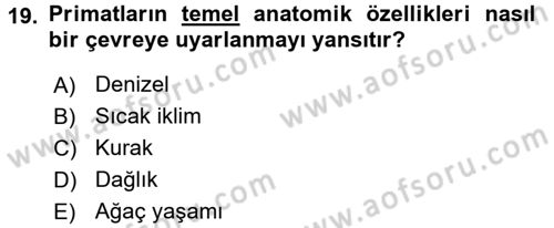 Sosyal Antropoloji Dersi 2017 - 2018 Yılı (Vize) Ara Sınav Soruları 19. Soru