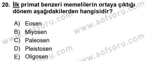 Sosyal Antropoloji Dersi 2017 - 2018 Yılı (Vize) Ara Sınav Soruları 20. Soru