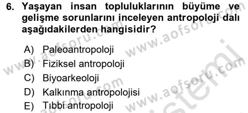 Sosyal Antropoloji Dersi Ara Sınavı Deneme Sınav Soruları 6. Soru