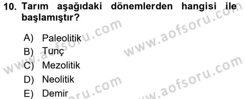 Sosyal Antropoloji Dersi 2017 - 2018 Yılı (Final) Dönem Sonu Sınav Soruları 10. Soru