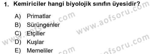 Sosyal Antropoloji Dersi 2018 - 2019 Yılı 3 Ders Sınav Soruları 1. Soru