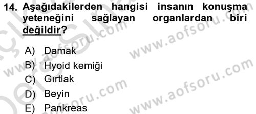 Sosyal Antropoloji Dersi 2018 - 2019 Yılı 3 Ders Sınav Soruları 14. Soru