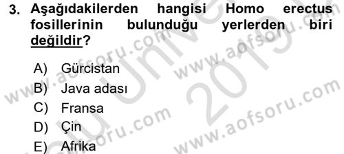 Sosyal Antropoloji Dersi 2018 - 2019 Yılı 3 Ders Sınav Soruları 3. Soru