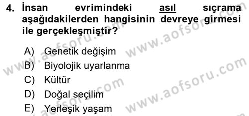 Sosyal Antropoloji Dersi 2018 - 2019 Yılı 3 Ders Sınav Soruları 4. Soru