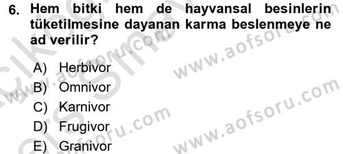 Sosyal Antropoloji Dersi 2018 - 2019 Yılı 3 Ders Sınav Soruları 6. Soru