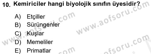 Sosyal Antropoloji Dersi Ara Sınavı Deneme Sınav Soruları 10. Soru