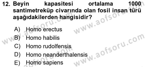 Sosyal Antropoloji Dersi 2018 - 2019 Yılı (Vize) Ara Sınav Soruları 12. Soru