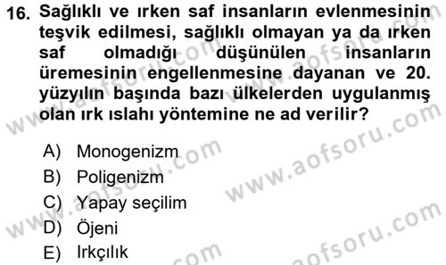 Sosyal Antropoloji Dersi Ara Sınavı Deneme Sınav Soruları 16. Soru
