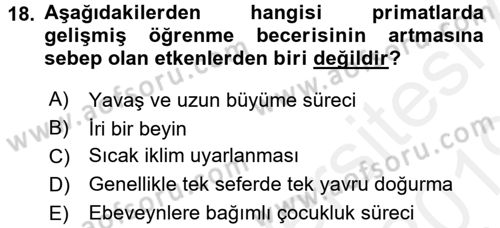 Sosyal Antropoloji Dersi 2018 - 2019 Yılı (Vize) Ara Sınav Soruları 18. Soru