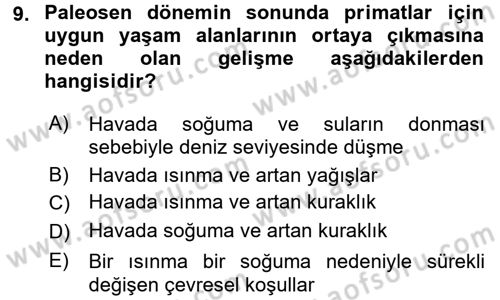 Sosyal Antropoloji Dersi 2018 - 2019 Yılı (Vize) Ara Sınav Soruları 9. Soru