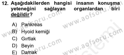 Sosyal Antropoloji Dersi 2018 - 2019 Yılı (Final) Dönem Sonu Sınav Soruları 12. Soru