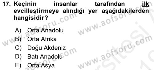Sosyal Antropoloji Dersi 2018 - 2019 Yılı (Final) Dönem Sonu Sınav Soruları 17. Soru