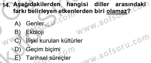 Sosyal Antropoloji Dersi 2018 - 2019 Yılı Yaz Okulu Sınav Soruları 14. Soru