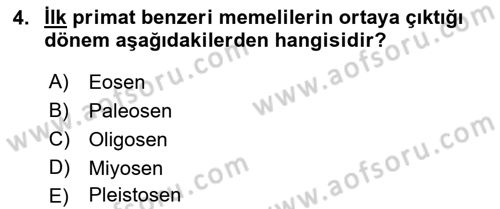 Sosyal Antropoloji Dersi 2018 - 2019 Yılı Yaz Okulu Sınav Soruları 4. Soru