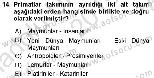 Sosyal Antropoloji Dersi 2019 - 2020 Yılı (Vize) Ara Sınav Soruları 14. Soru