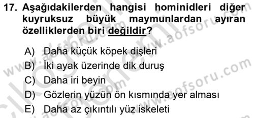 Sosyal Antropoloji Dersi Ara Sınavı Deneme Sınav Soruları 17. Soru