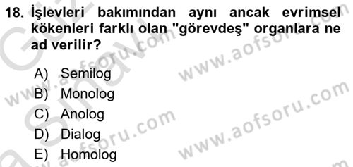 Sosyal Antropoloji Dersi Ara Sınavı Deneme Sınav Soruları 18. Soru