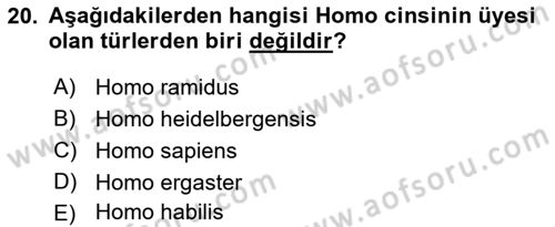 Sosyal Antropoloji Dersi Ara Sınavı Deneme Sınav Soruları 20. Soru