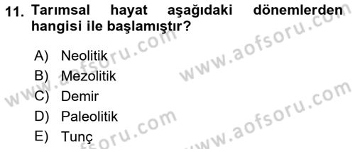 Sosyal Antropoloji Dersi 2019 - 2020 Yılı (Final) Dönem Sonu Sınav Soruları 11. Soru