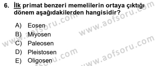 Sosyal Antropoloji Dersi 2019 - 2020 Yılı (Final) Dönem Sonu Sınav Soruları 6. Soru