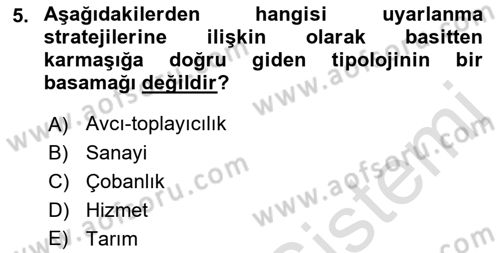 Sosyal Antropoloji Dersi 2021 - 2022 Yılı Yaz Okulu Sınav Soruları 5. Soru