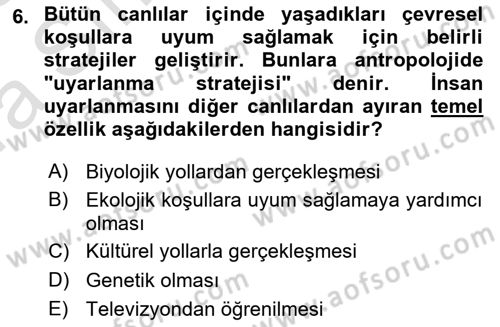Sosyal Antropoloji Dersi Ara Sınavı Deneme Sınav Soruları 6. Soru